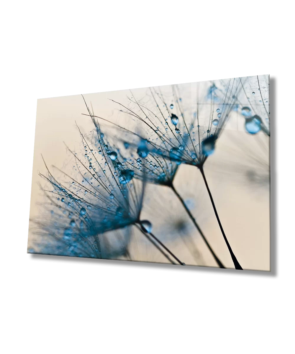 Blue Dandelion Glass Painting