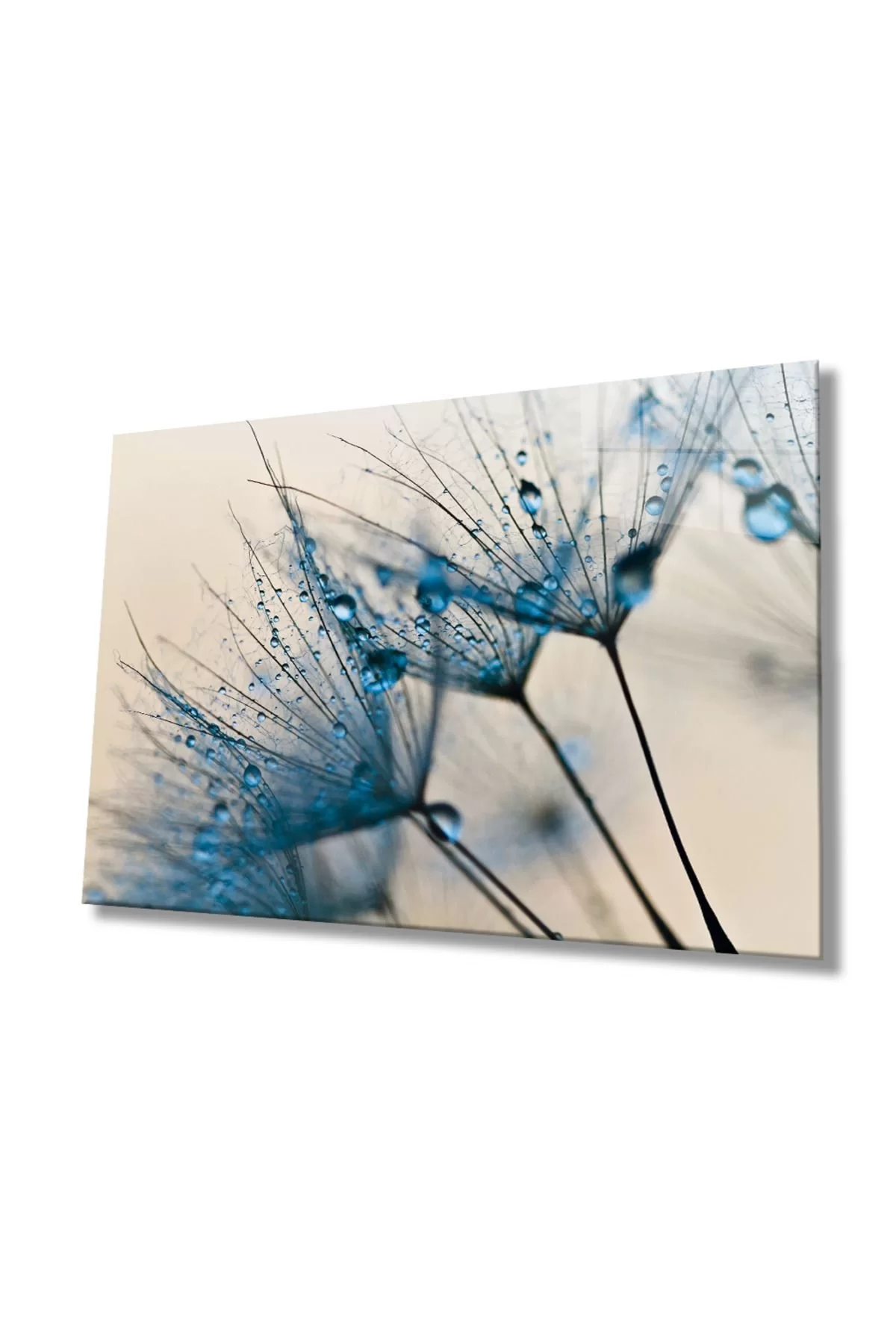 Blue Dandelion Glass Painting