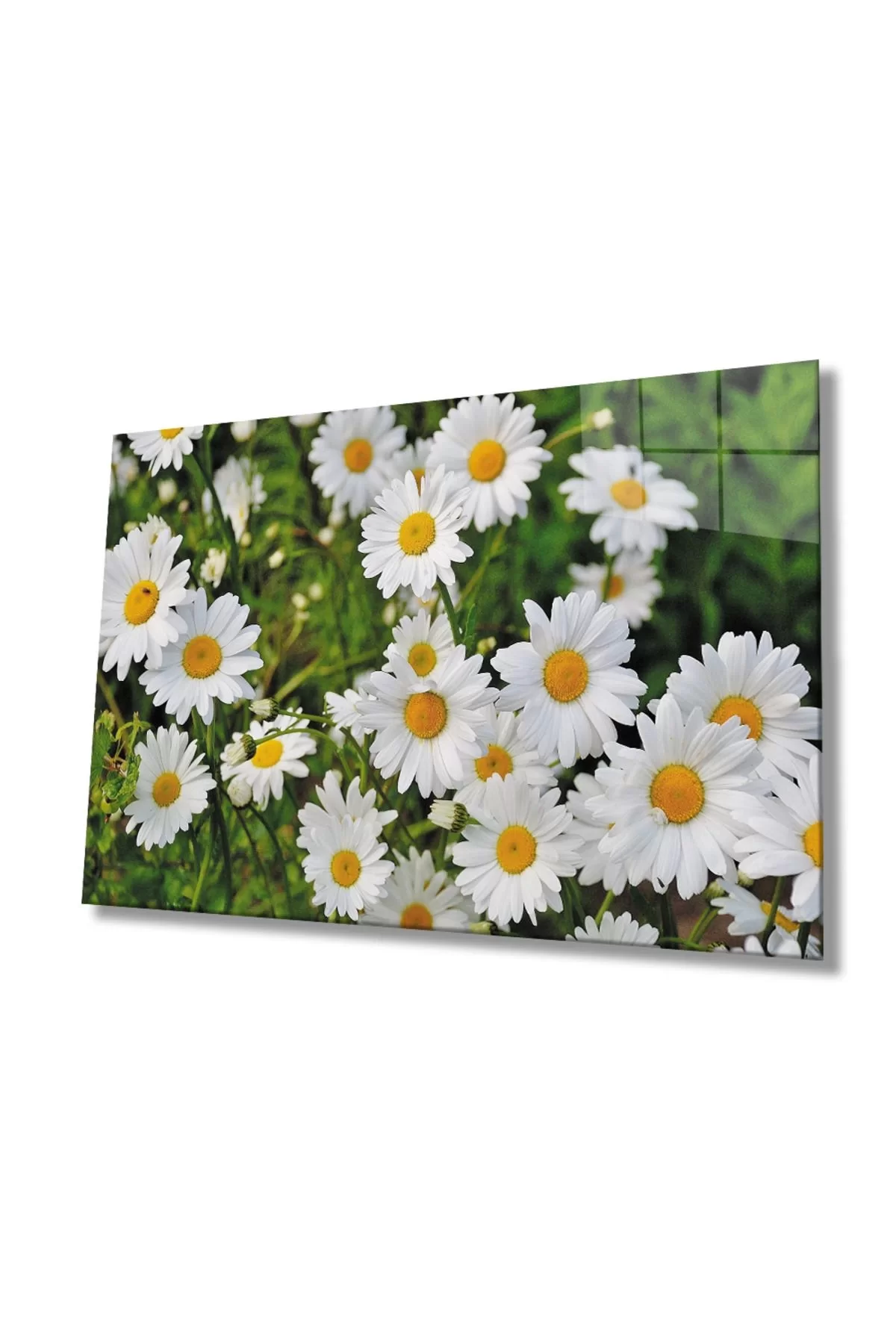 Daisy Flower Glass Painting, Home And Office Wall Decoration