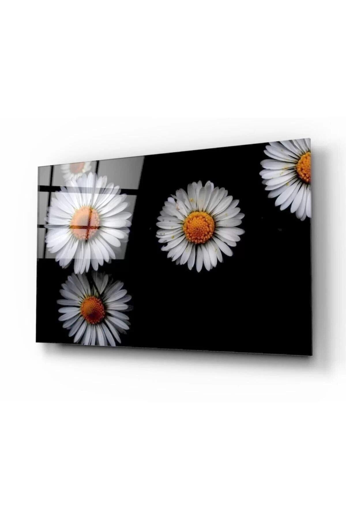 Daisies Glass Table