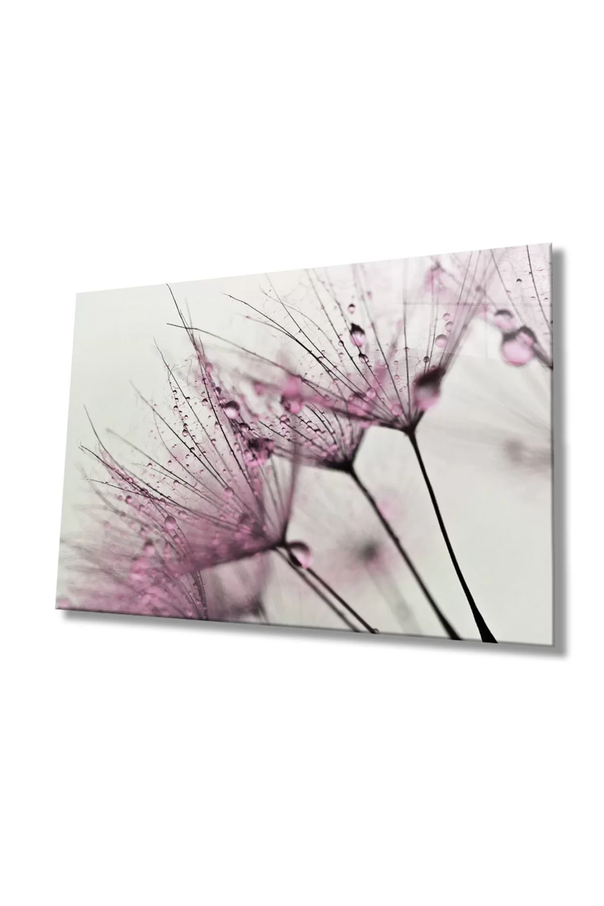 Pink Dandelion Glass Painting