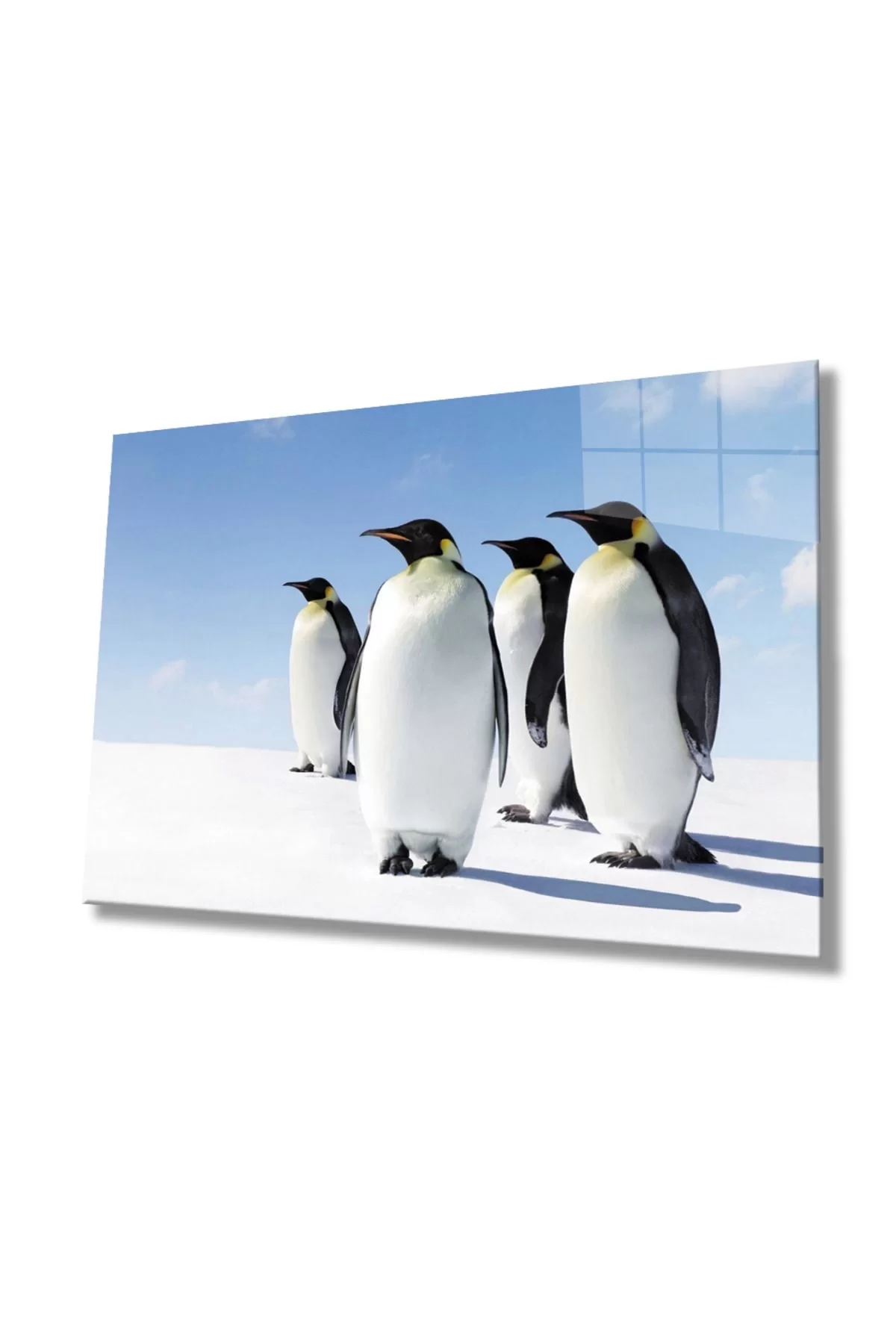 Penguin Animal Glass Table 4mm Durable Tempered Glass