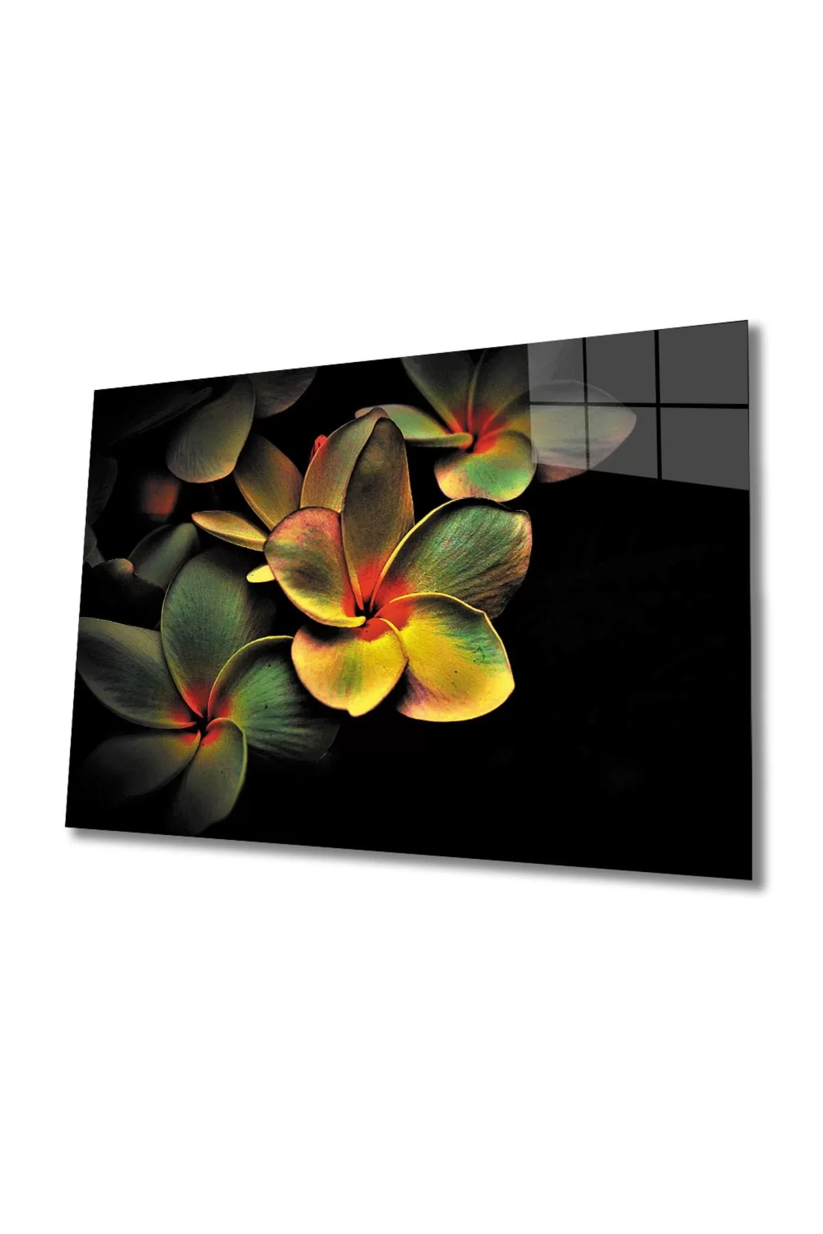 Colorful Flower Glass Painting