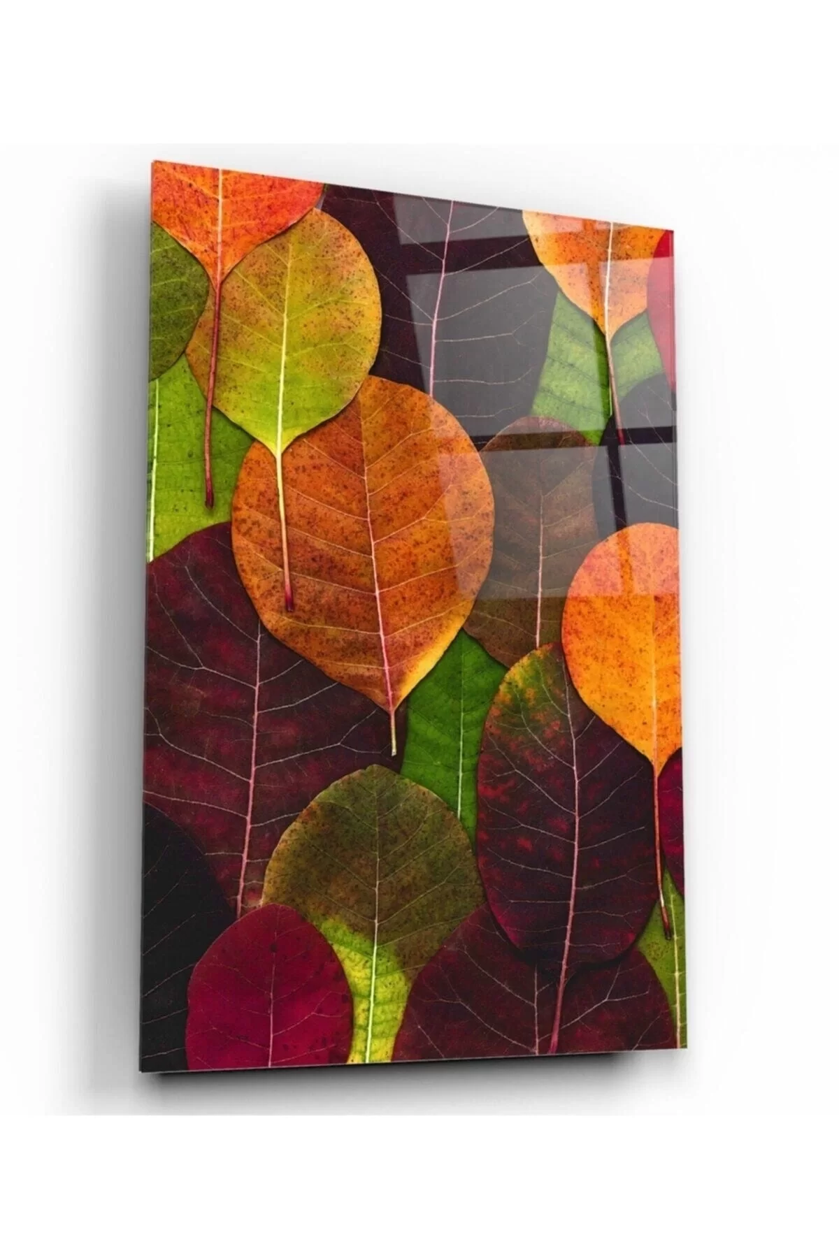 Colorful Leaves Glass Painting