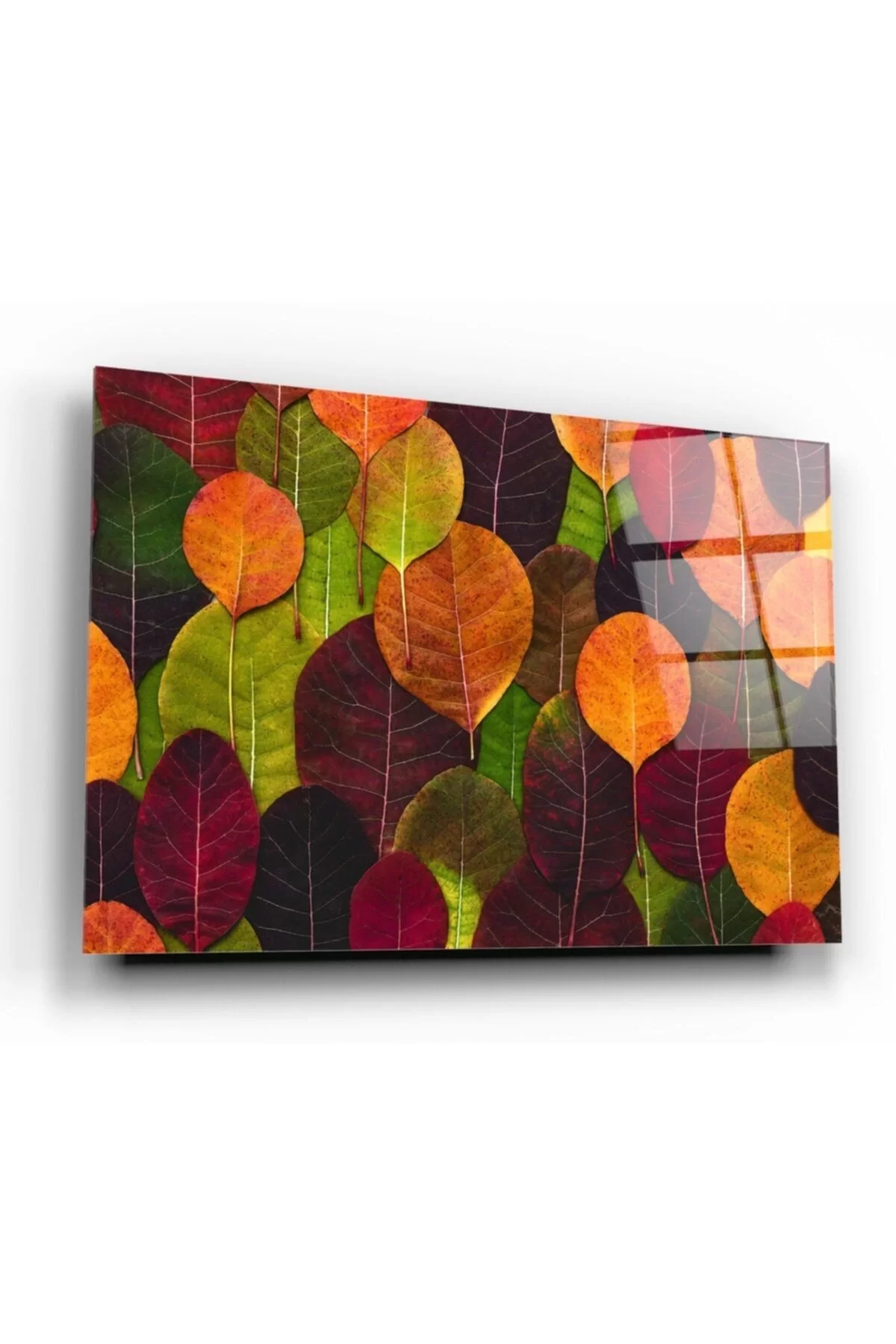 Colorful Leaves Glass Painting