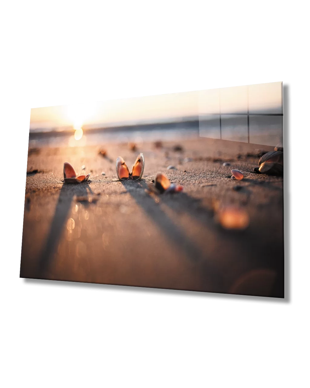 Seashells on the Beach Sunset Glass Painting