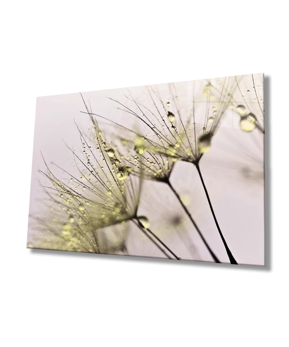 Yellow Dandelion Glass Painting