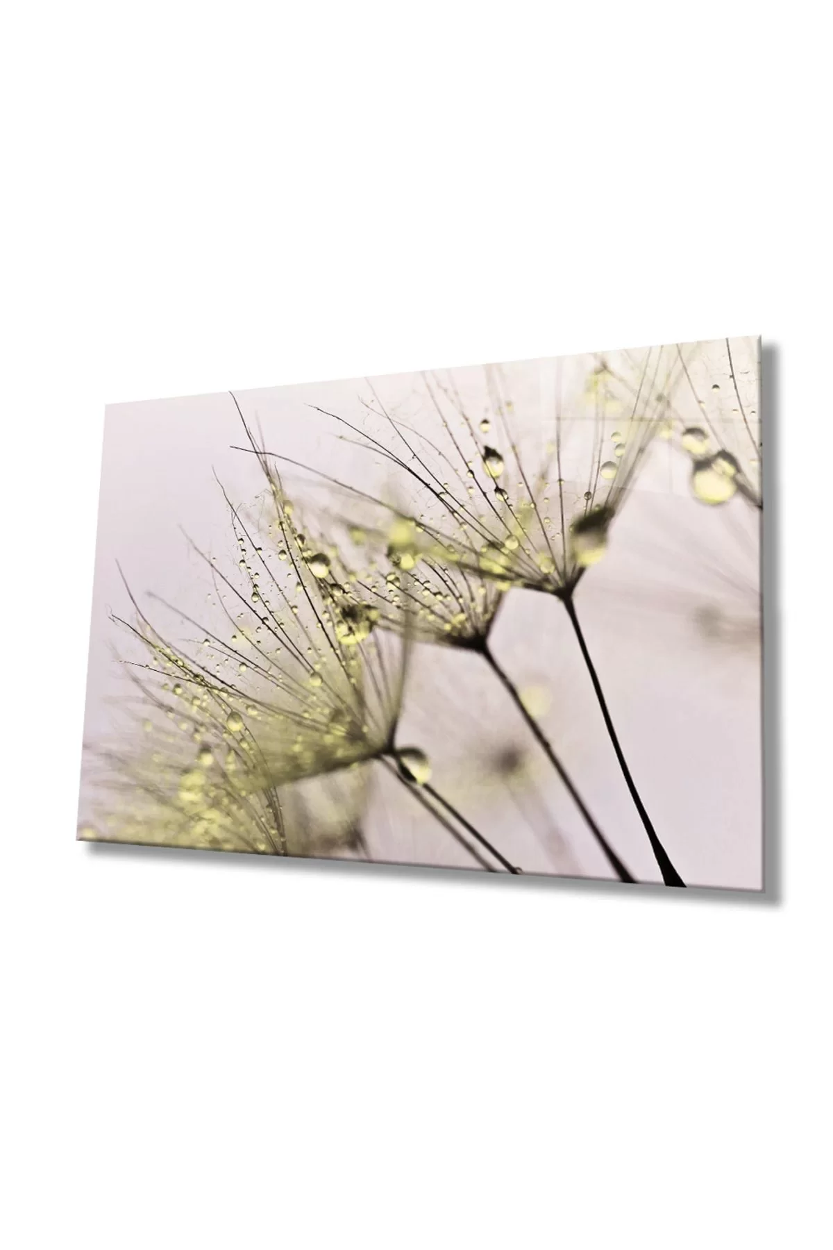 Yellow Dandelion Glass Painting