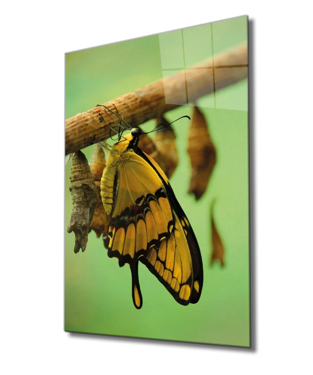 Yellow Butterfly Glass Painting Yellow Butterfly