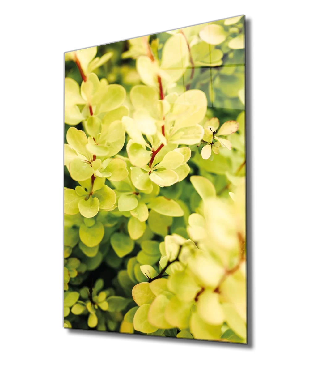 Yellow Green Leaves Plant Glass Painting Green Yellow Nature