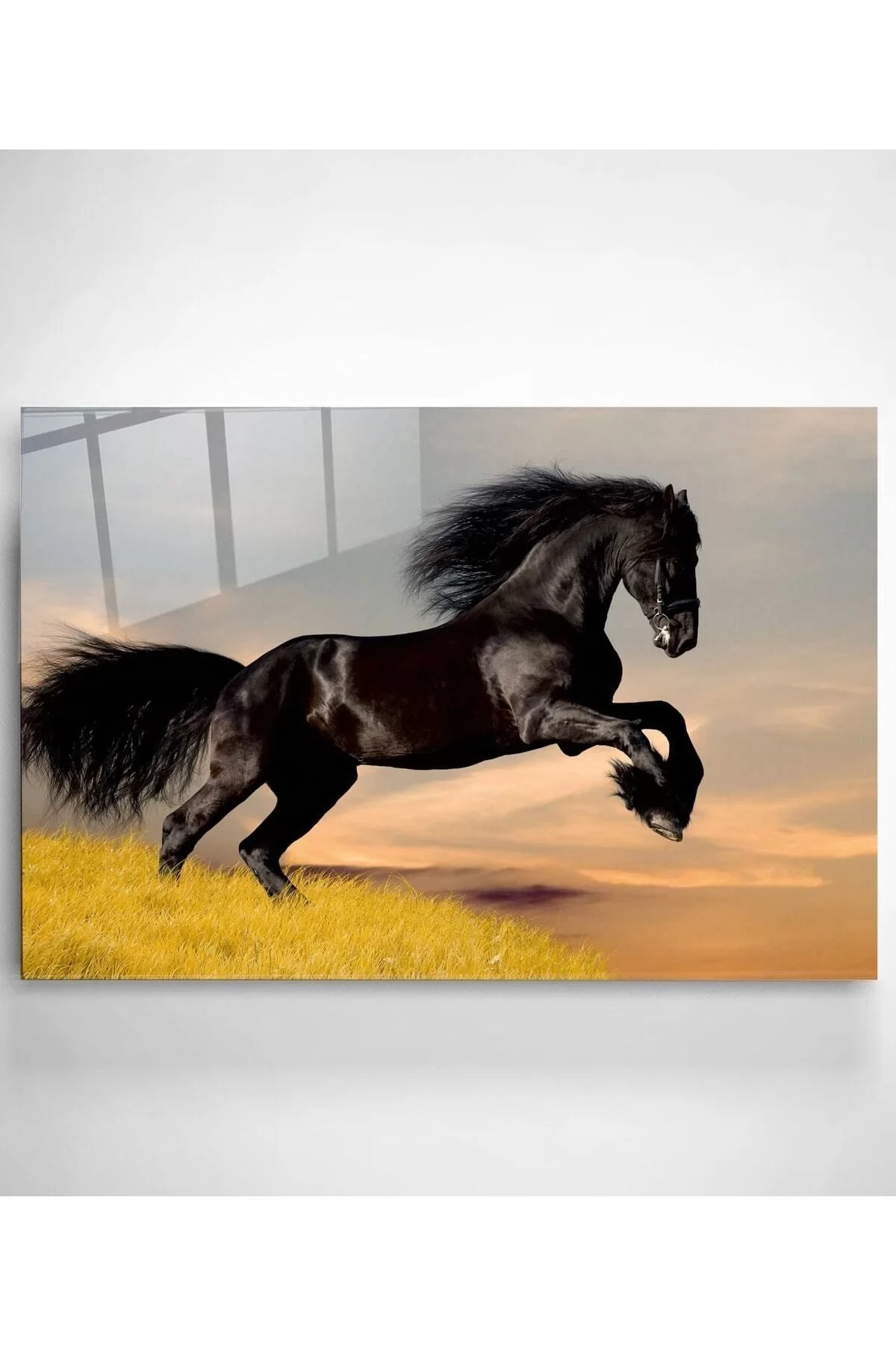 Black Horse Glass Painting