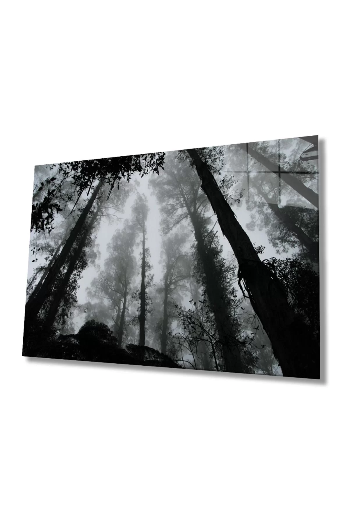 Black and White Trees Glass Painting, Home and Office Wall Decoration