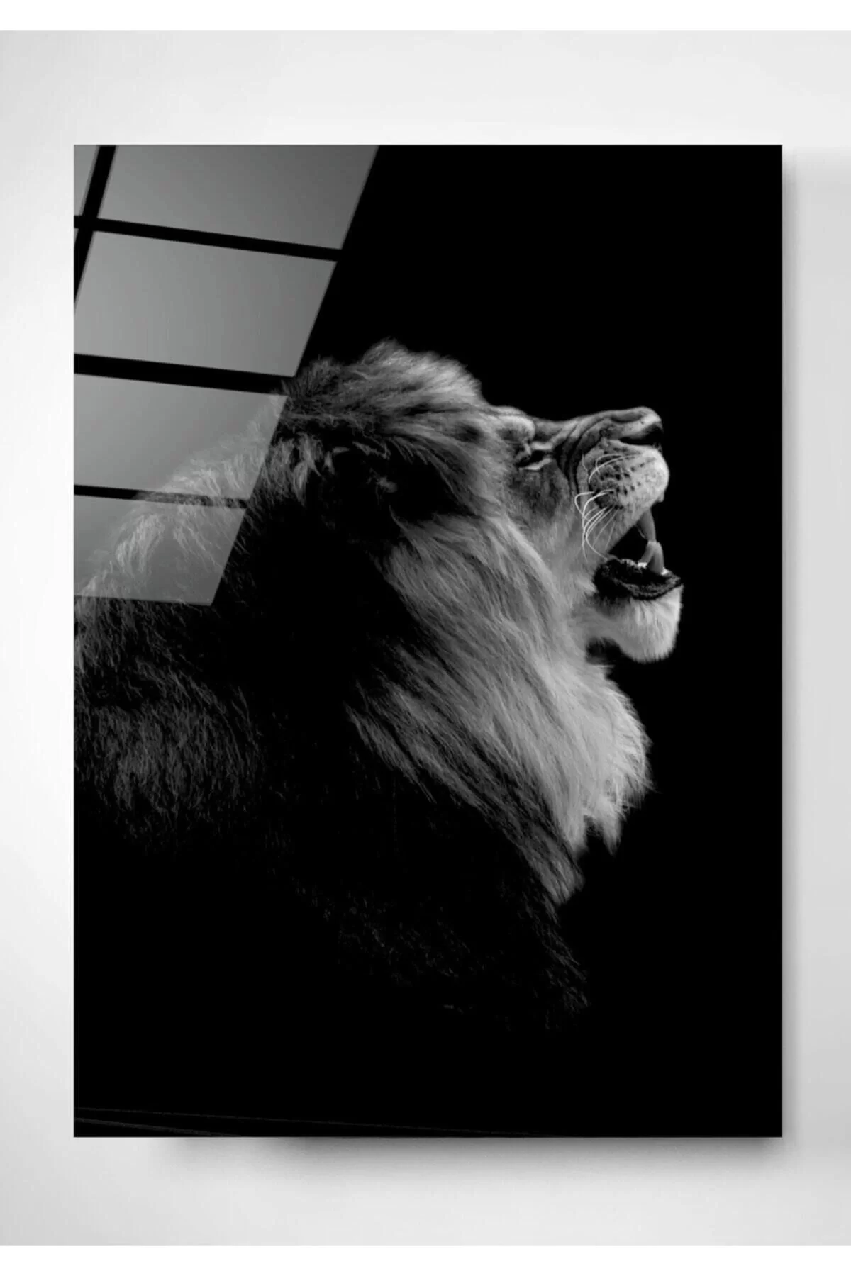 Black and White Lion Glass Painting 70x110