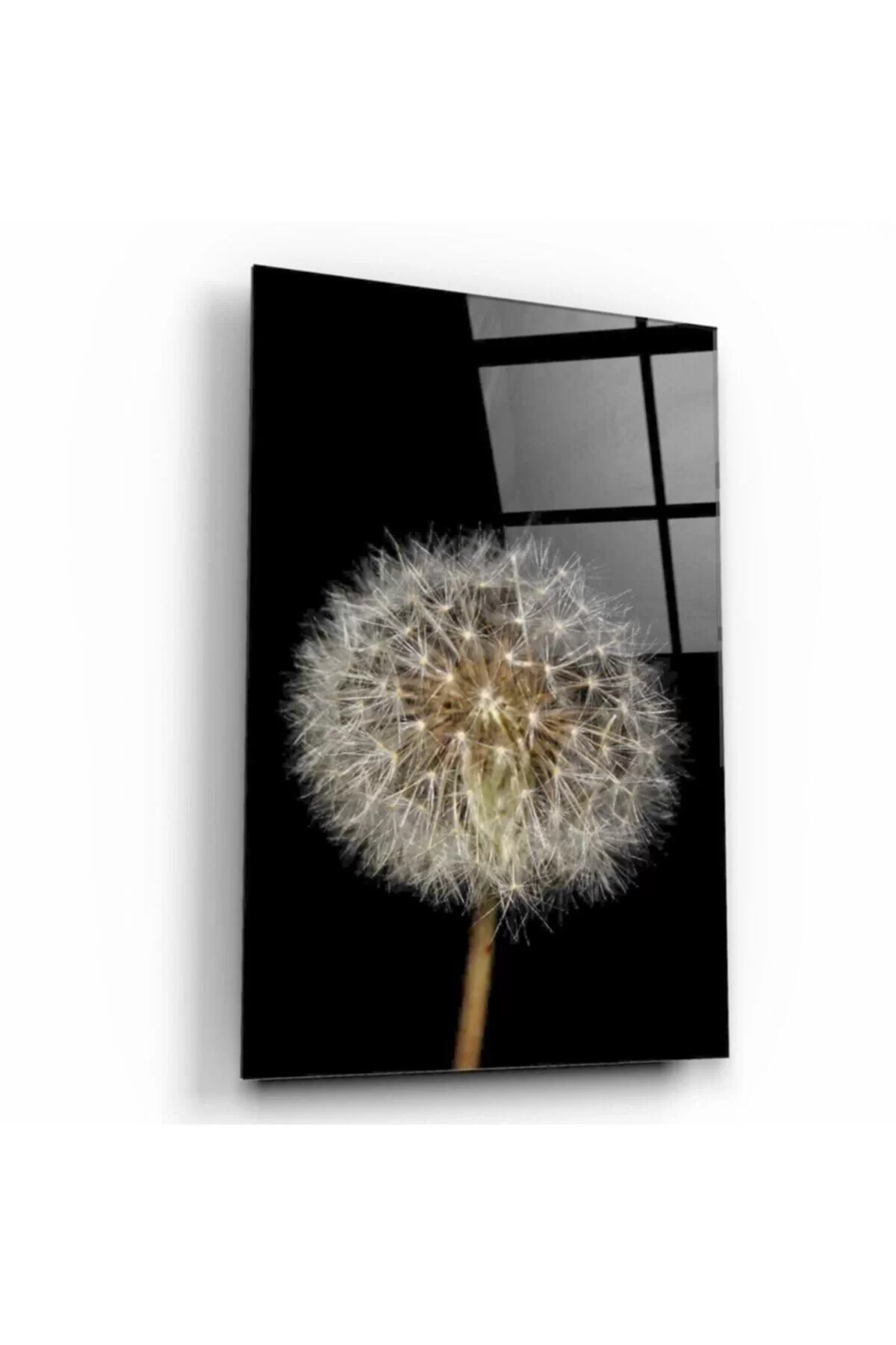 Black Dandelion Glass Painting