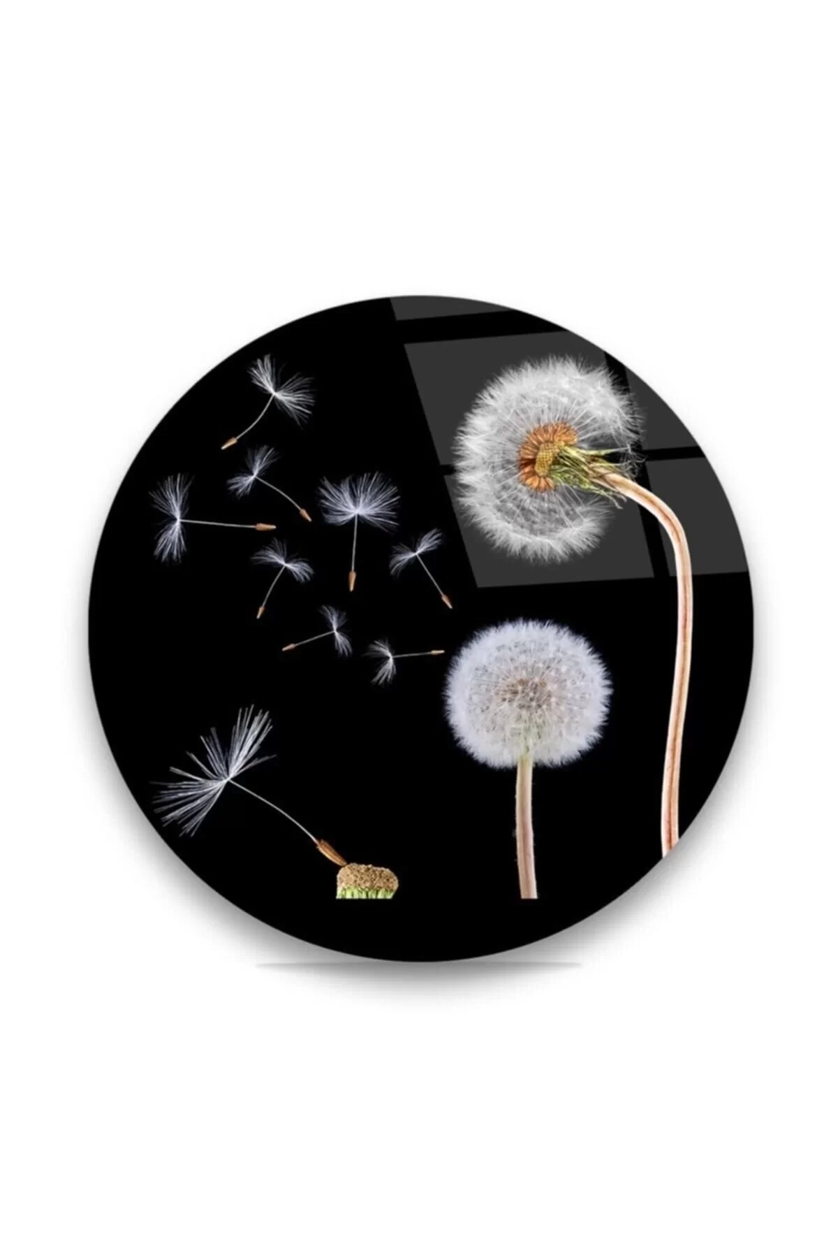 Black Dandelion Flower Round Glass Table