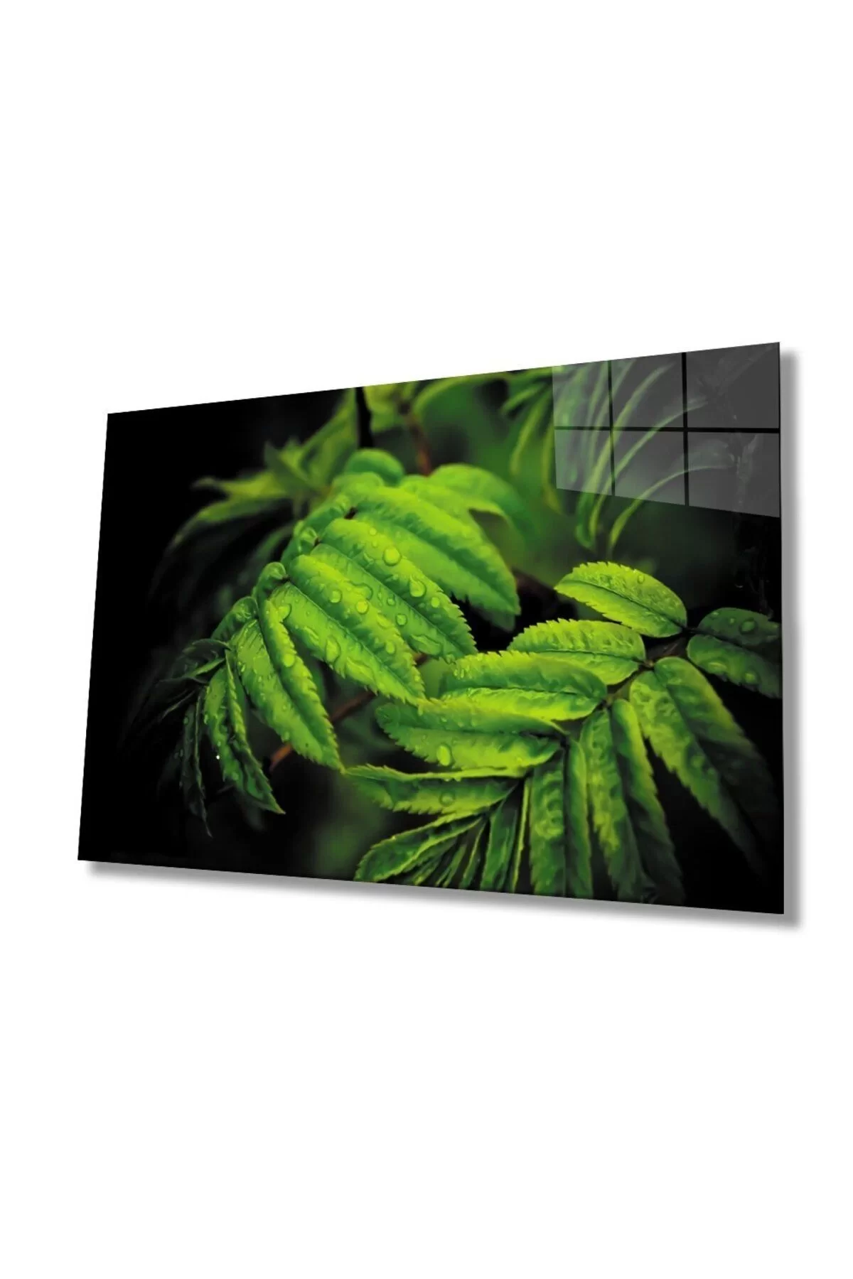 Water Drop Green Leaves Glass Painting, Home And Office Wall Decoration