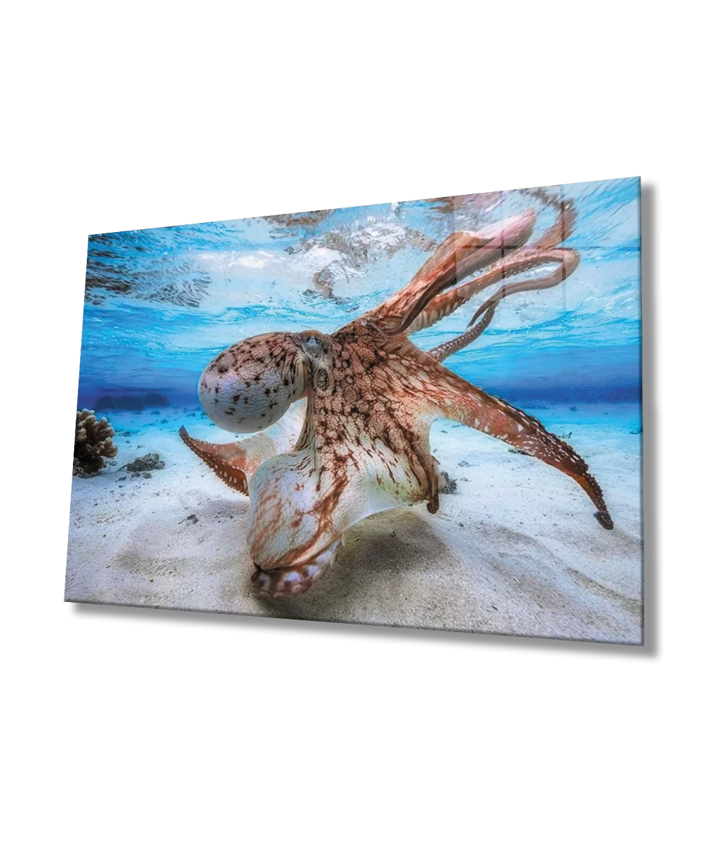 TEKNOO- Octopus Underwater Glass Painting