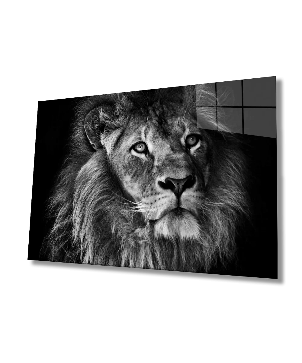 TEKNOO- Lion Glass Painting