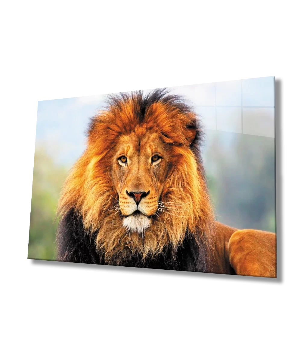 TEKNOO- Lion Glass Painting