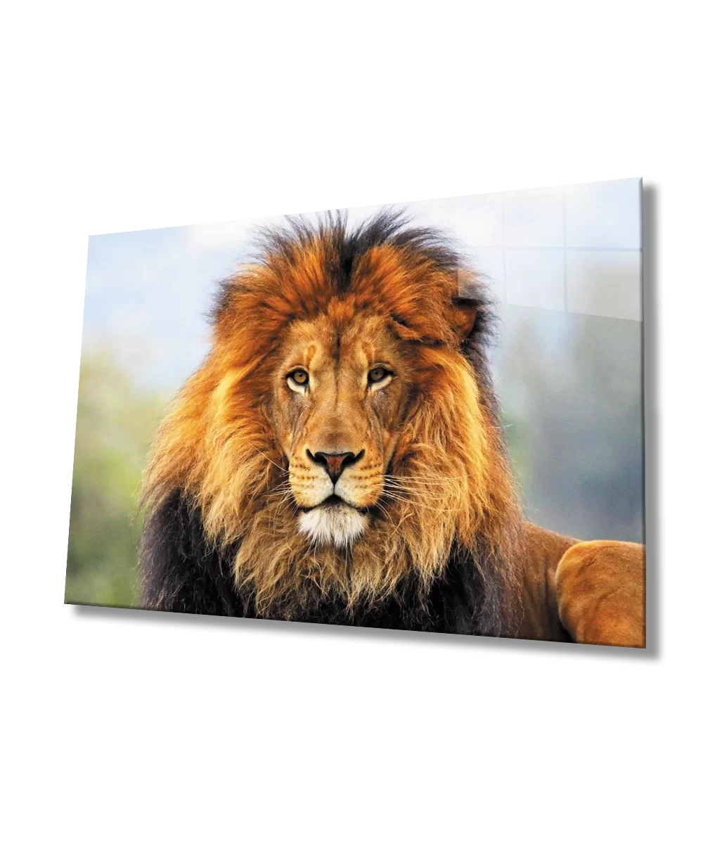 TEKNOO- Lion Glass Painting