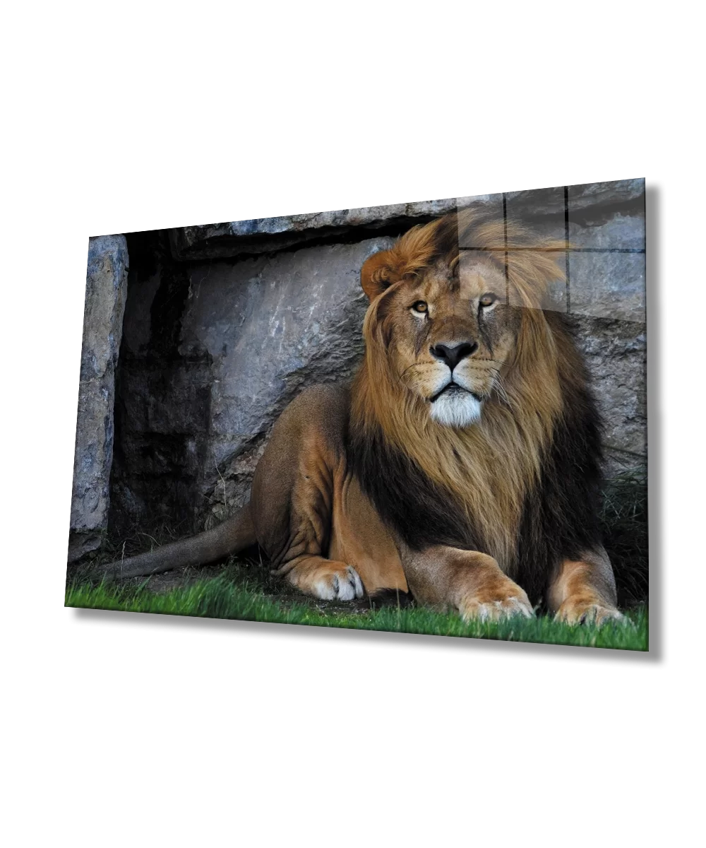 TEKNOO- Lion Glass Painting