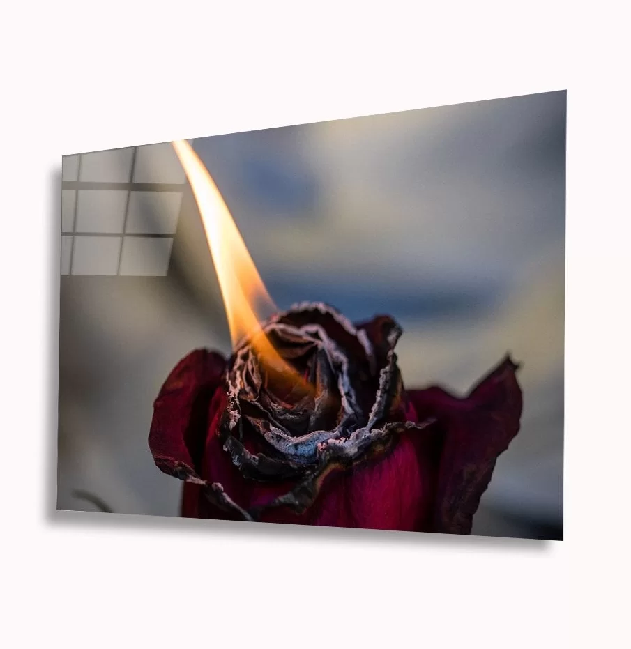 TEKNOO- Fire and Rose Glass Painting