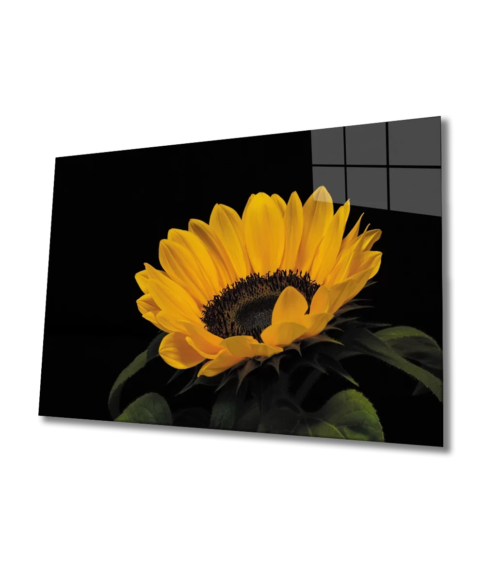 TEKNOO- Sunflower Sunflower Glass Painting