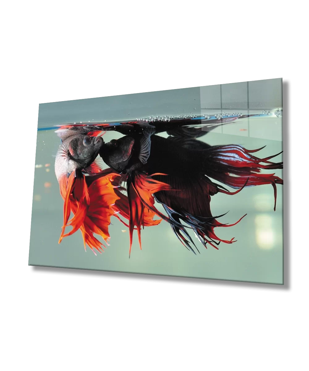 TEKNOO- Fishes Underwater Glass Painting