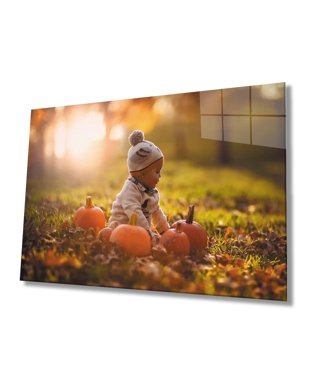 TEKNOO- Baby Glass Painting with Pumpkins