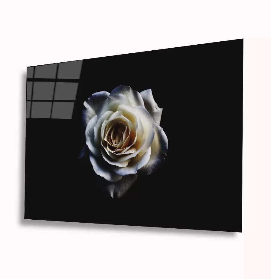 TEKNOO- White Rose Glass Painting