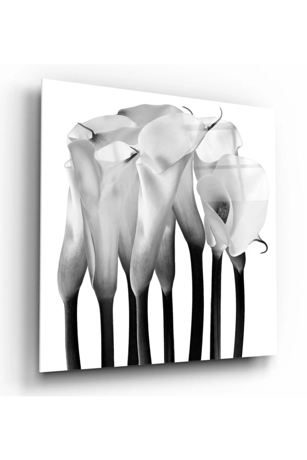 TEKNOO- Flowers Glass Painting