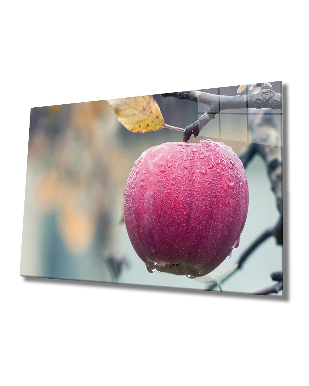 TEKNOO- Apple on a Branch Glass Painting Apple