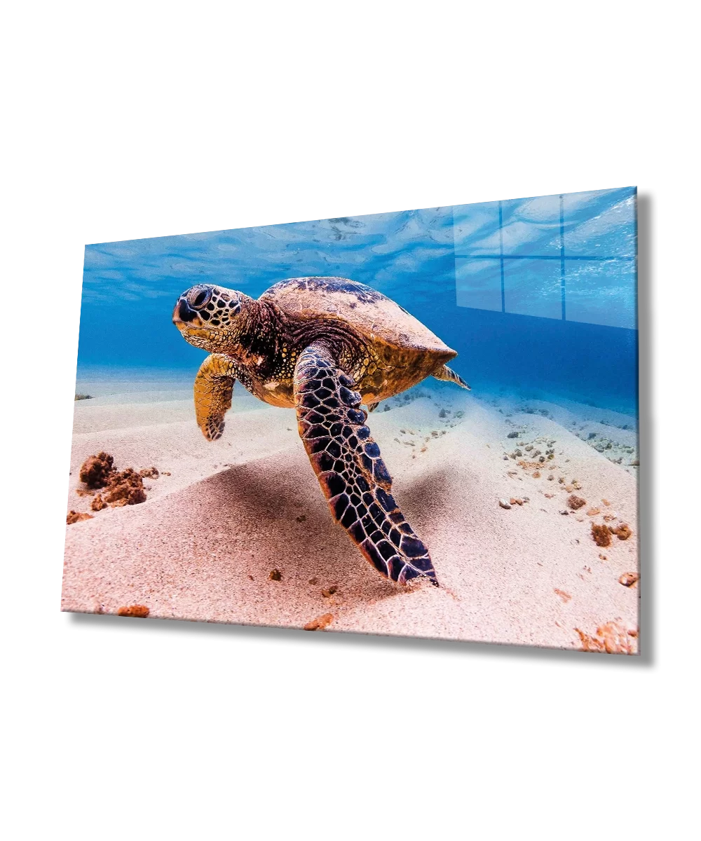 TEKNOO- Sea Turtle Animal Portrait Glass Painting