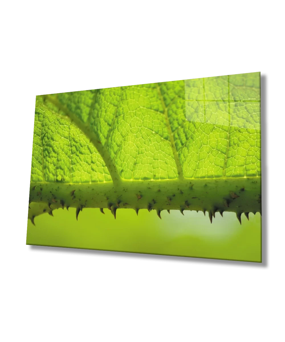 TEKNOO- Thorn Branch Leaf Green Glass Painting