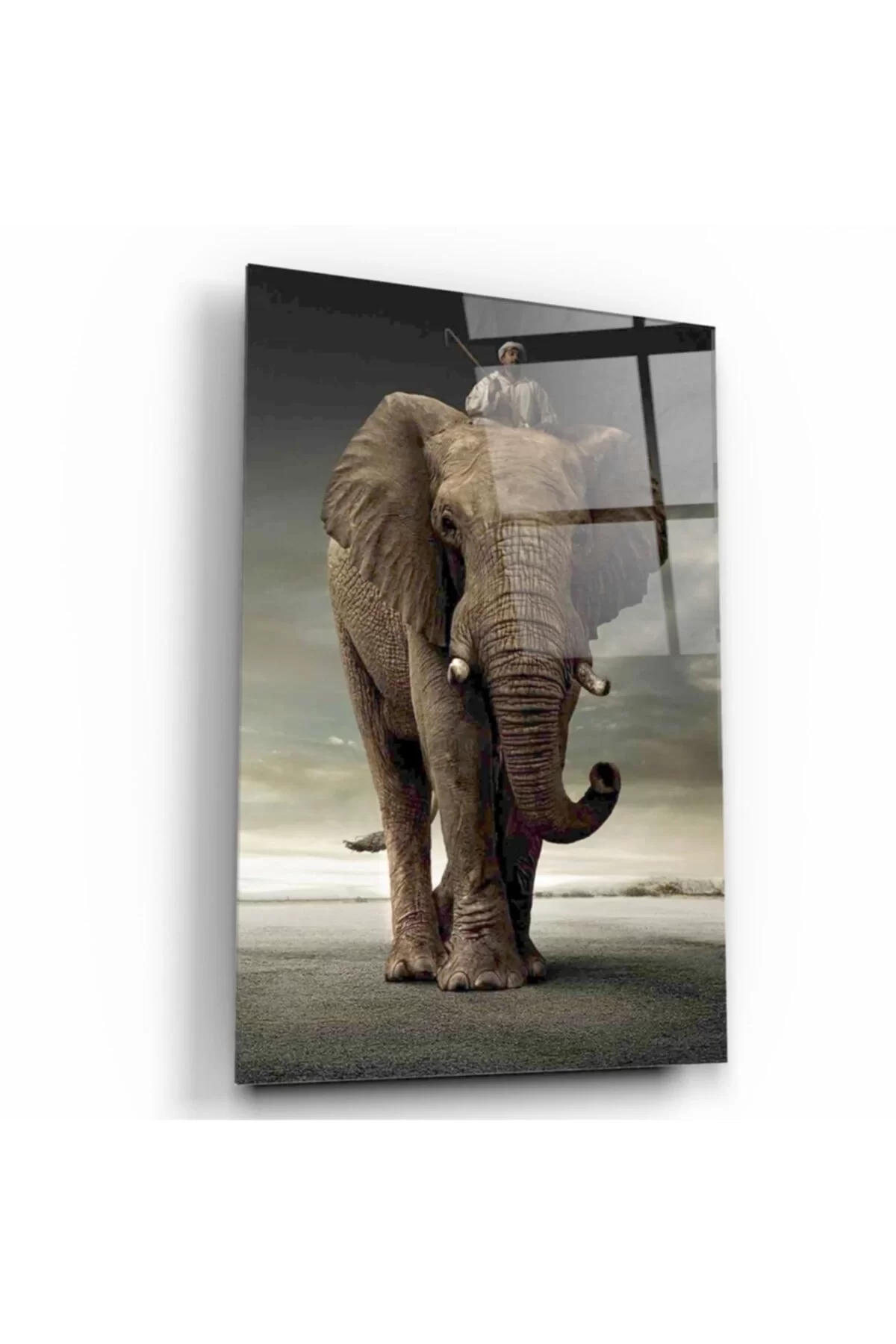 TEKNOO- Elephant Glass Painting