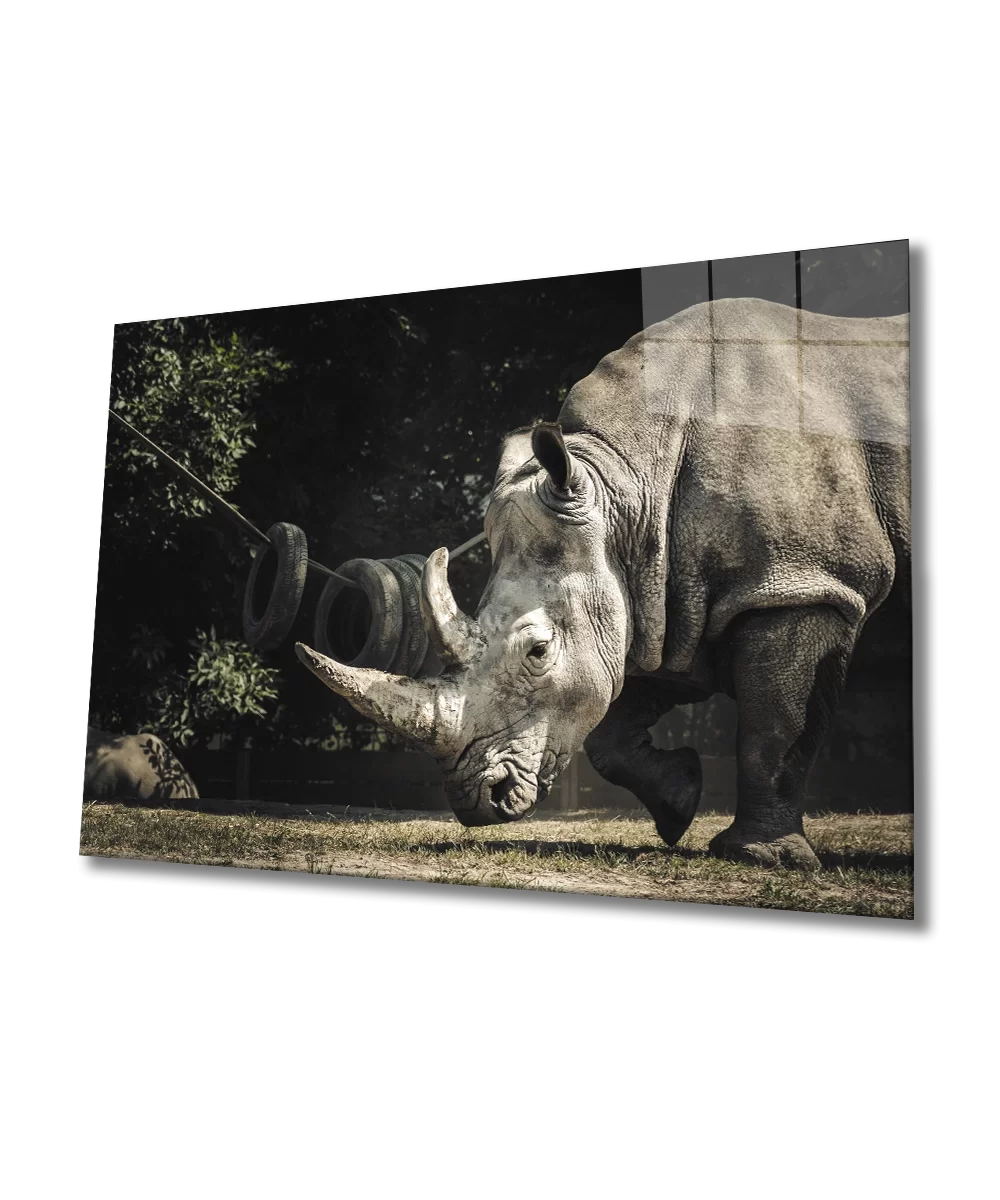 TEKNOO- Rhino Glass Painting