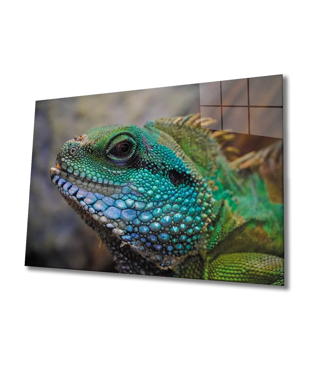 TEKNOO- Iguana Glass Painting