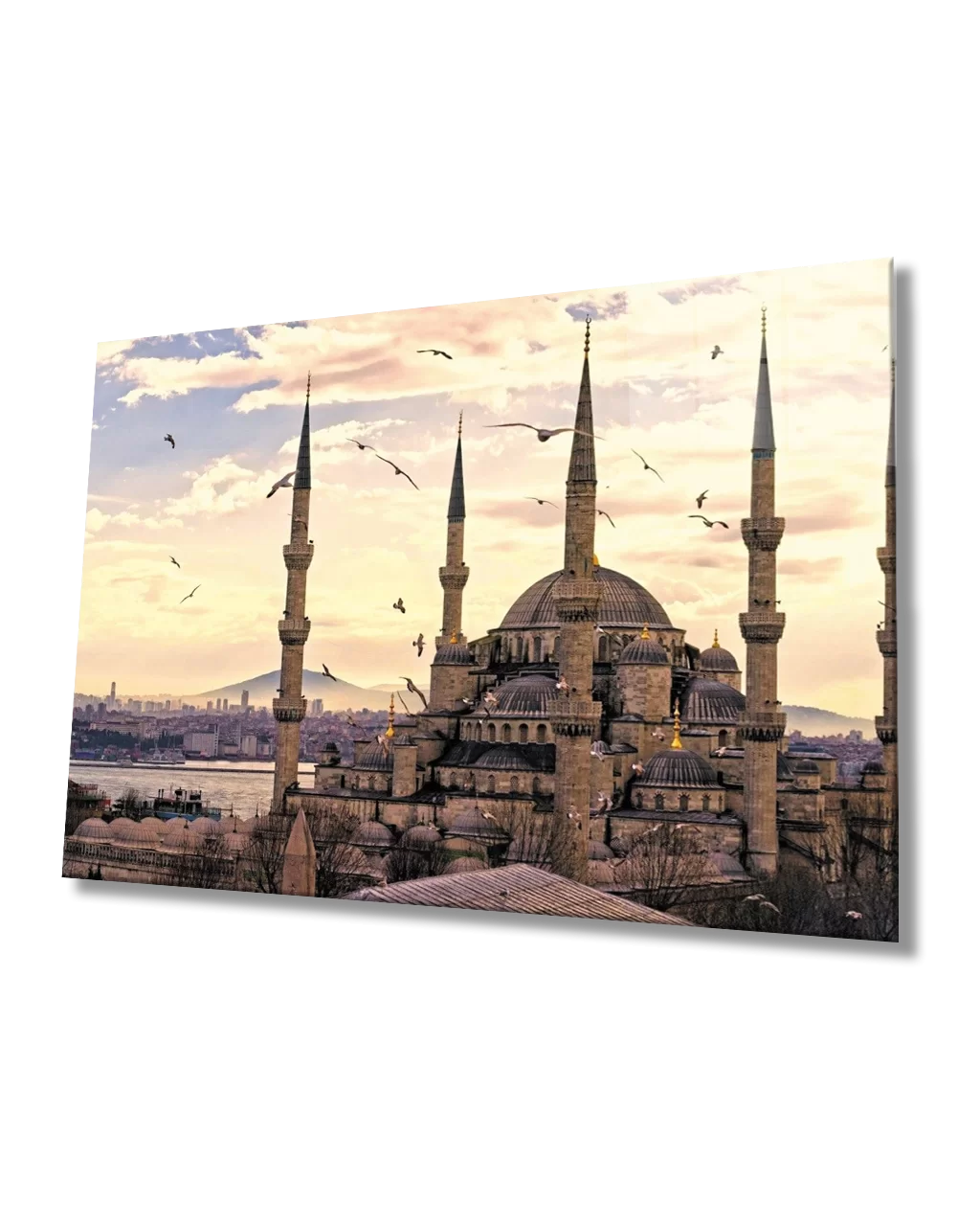 TEKNOO- Istanbul Sultan Ahmet Mosque and Seagulls Glass Painting