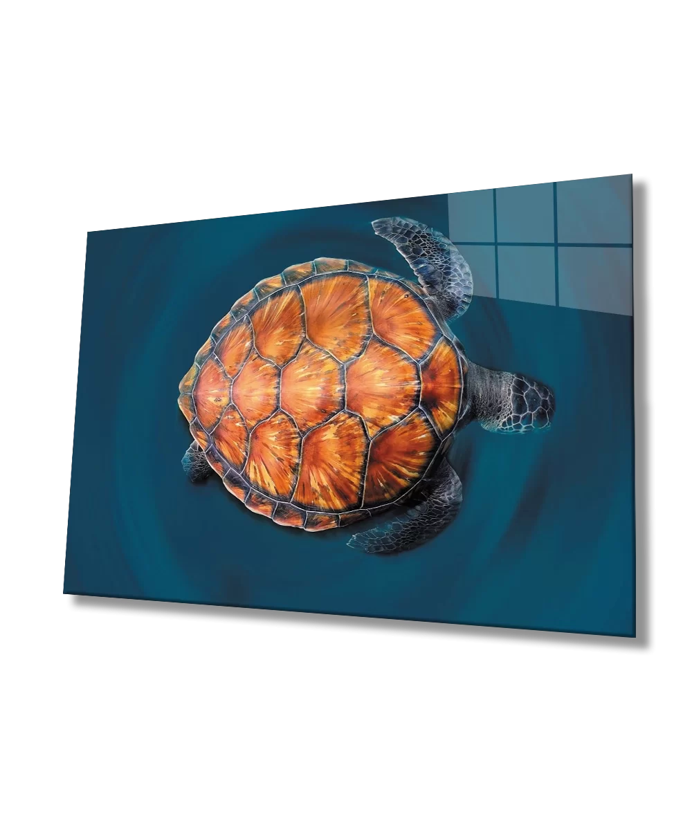 TEKNOO- Turtle Underwater Glass Painting