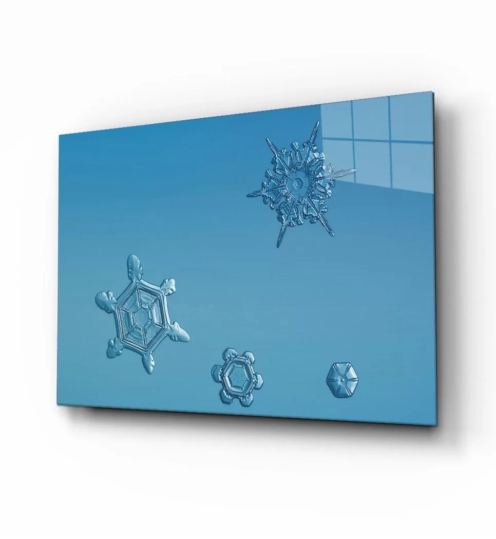 TEKNOO- Snowflakes Glass Painting