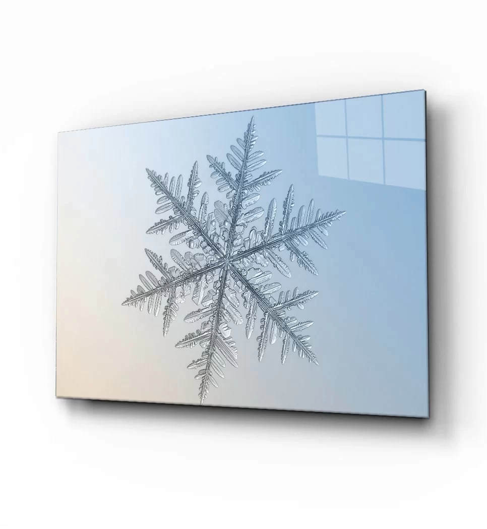 TEKNOO- Snowflake Glass Painting