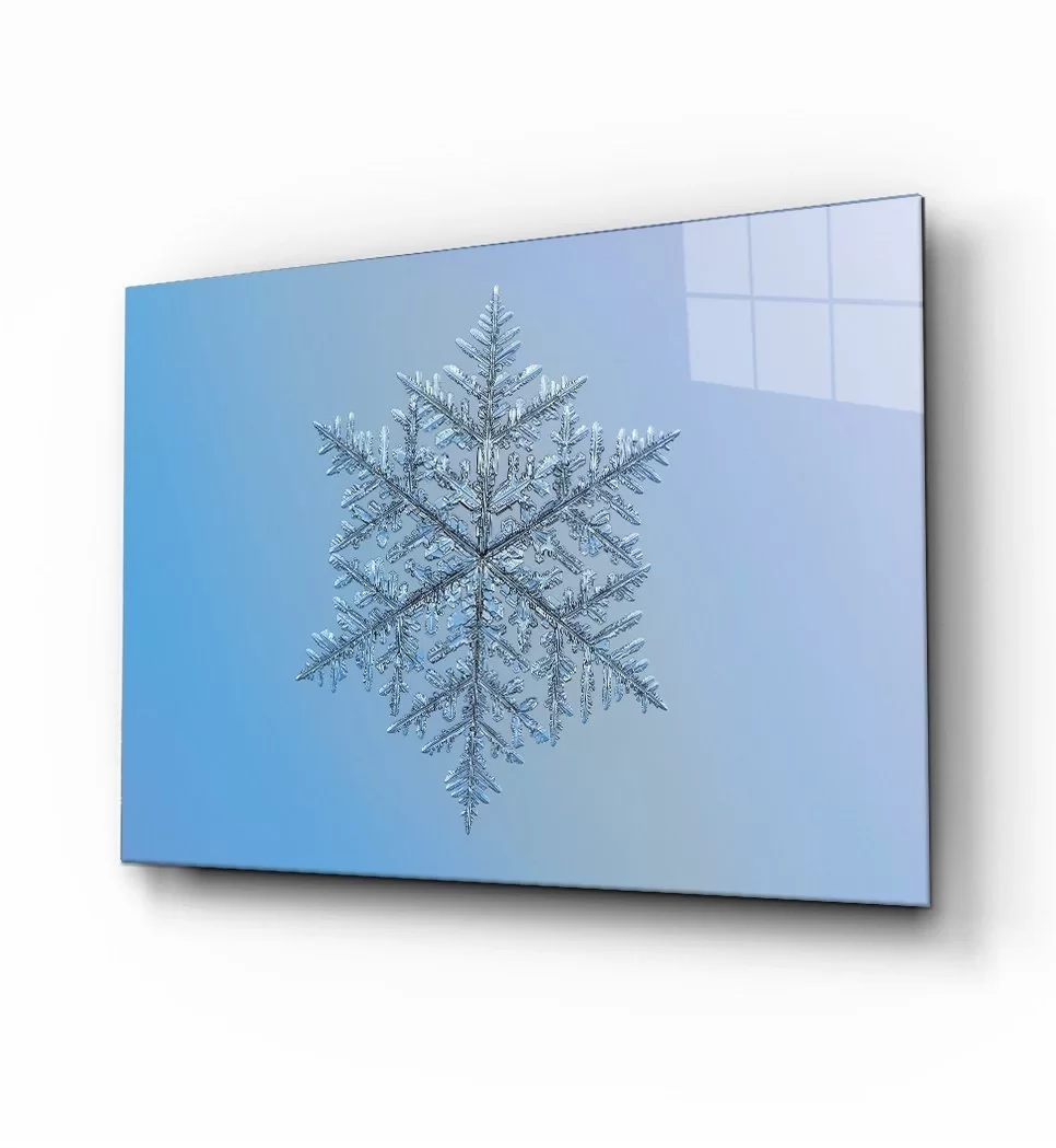 TEKNOO- Snowflake Glass Painting