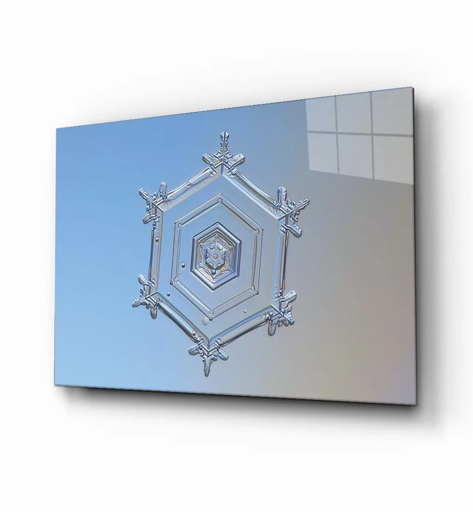 TEKNOO- Snowflake Glass Painting