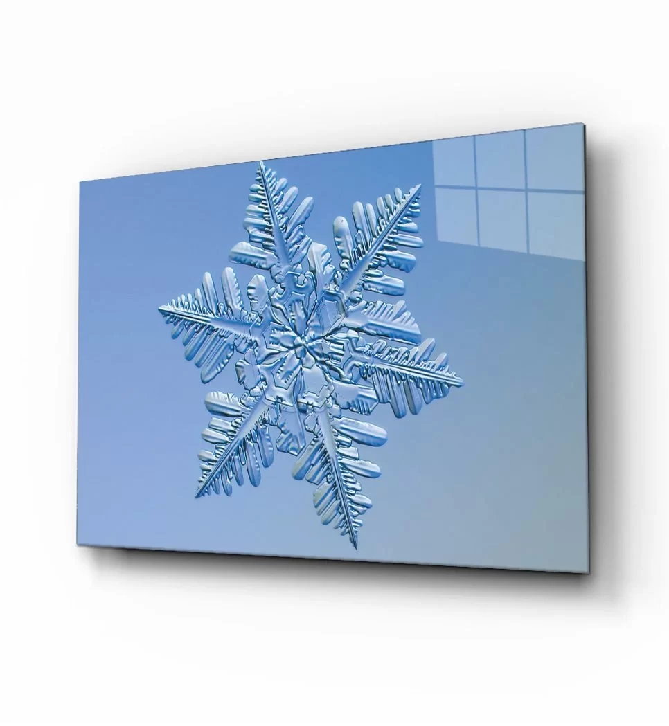 TEKNOO- Snowflake Glass Painting