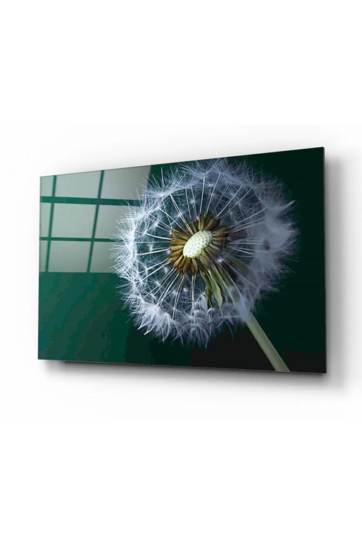 TEKNOO- Dandelion Glass Painting