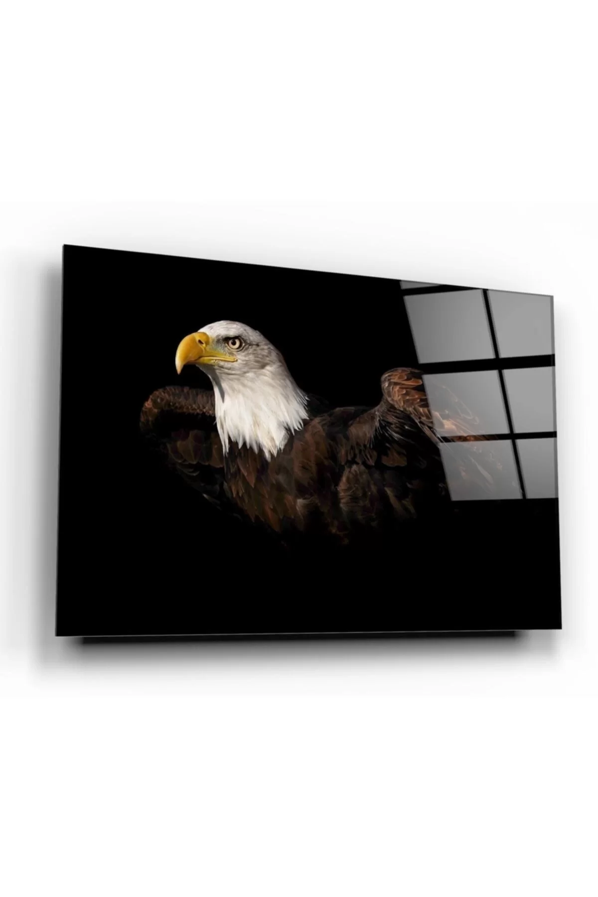 TEKNOO- Eagle Glass Painting