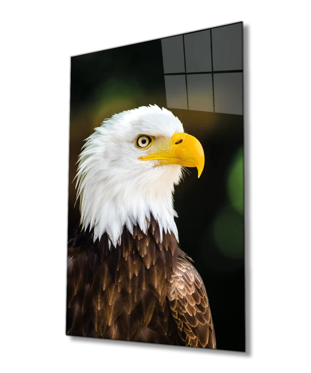 TEKNOO- Eagle Animal Portrait Glass Painting Home and Office Wall Decoration