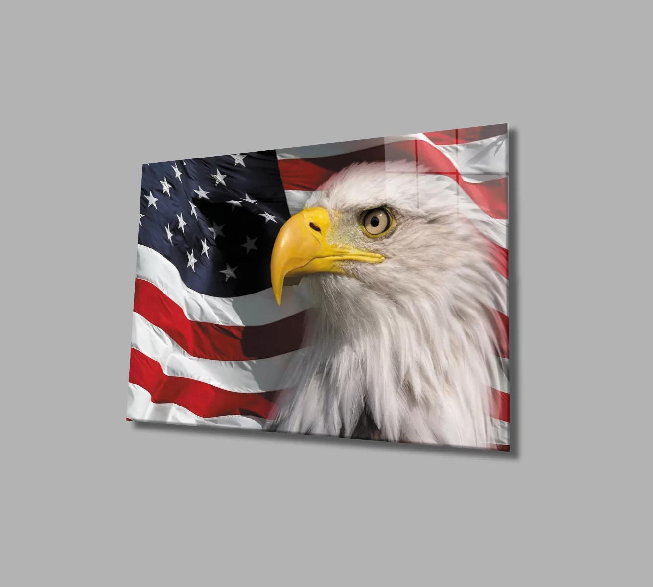 TEKNOO- American Flag with Eagle Glass Painting American Eagle Flag