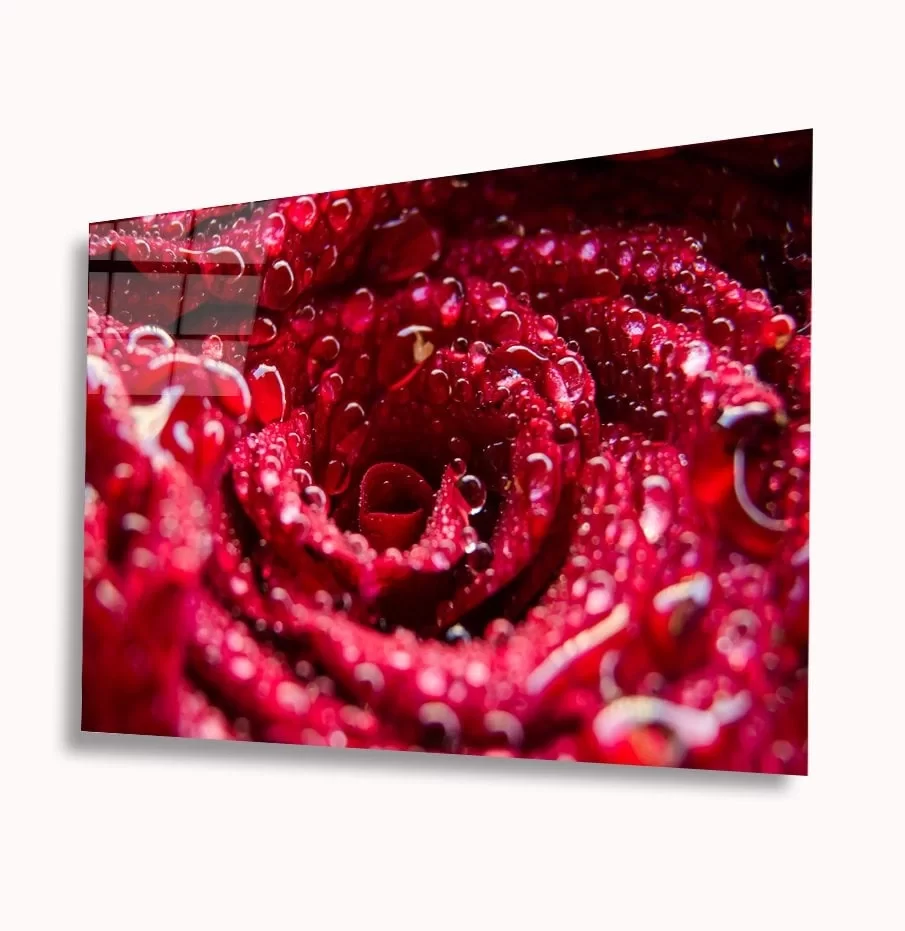 TEKNOO- Red Rose Glass Painting