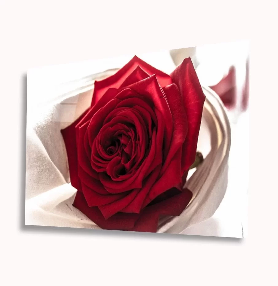 TEKNOO- Red Rose Glass Painting